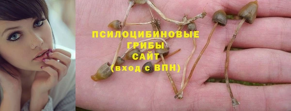 индика Абдулино