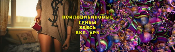 индика Абдулино